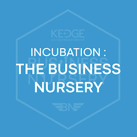 Incubation : the business nursery (en) - KEDGE